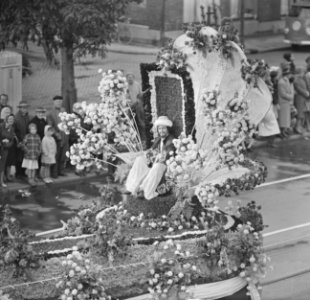 Bloemencorso door Amsterdam, Bestanddeelnr 914-2873