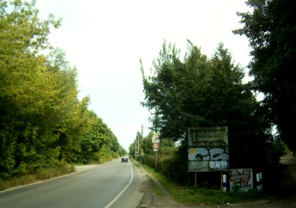 BlankfRosenthalerWeg