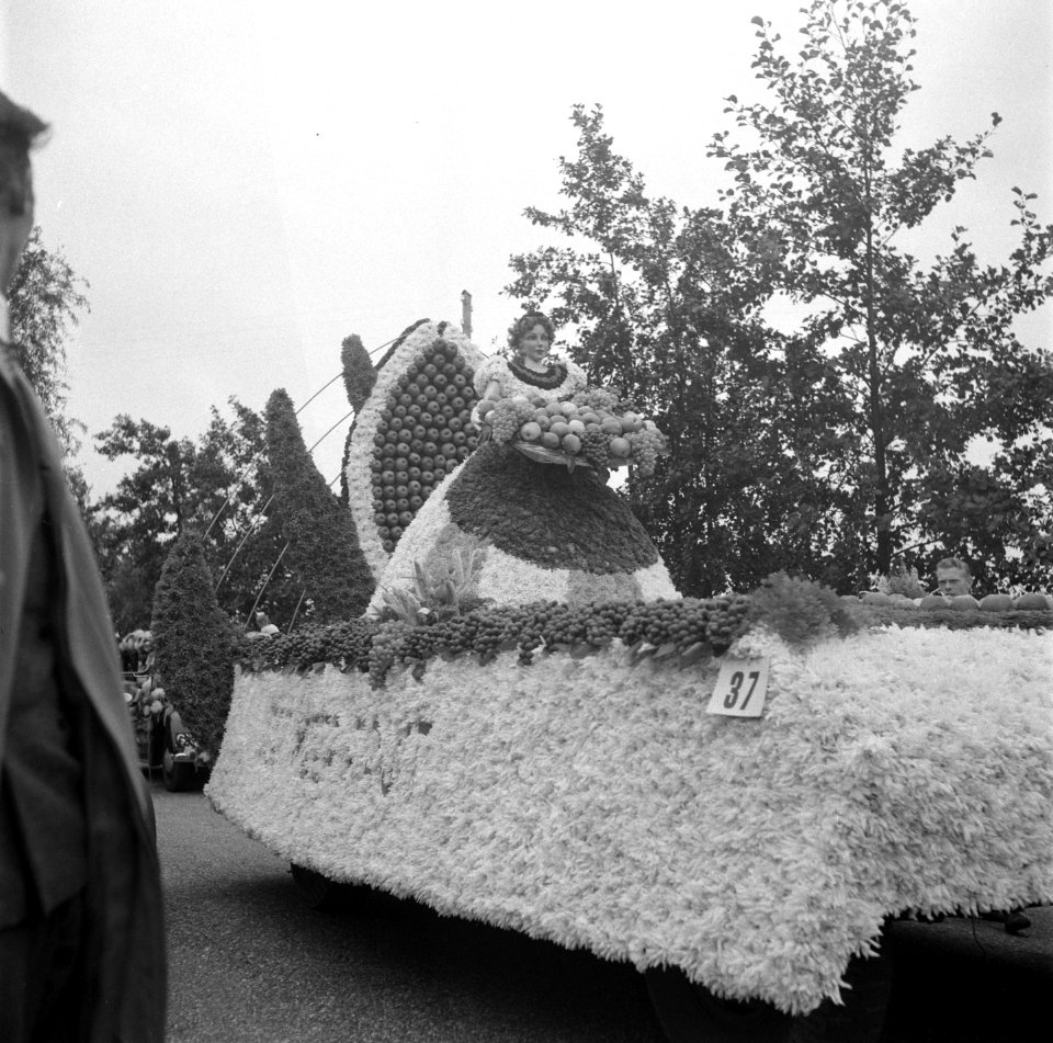 Bloemencorso Aalsmeer, Bestanddeelnr 904-1732