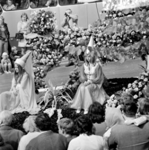 Bloemencorso in Amsterdam, Bestanddeelnr 926-6525