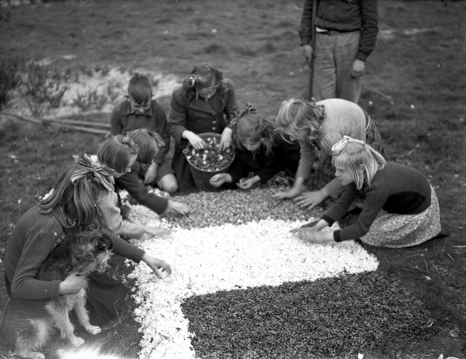 BLOEMENCORSO, Kinderen, Voorbereidingen, Bloemencorso, Bestanddeelnr 902-6902