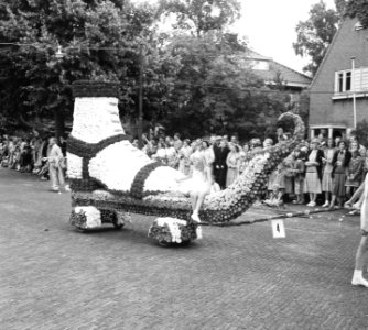 Bloemencorso Bergen (Noord-Holland), Bestanddeelnr 904-7202