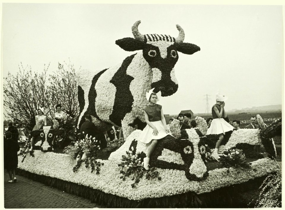 Bloemencorso, NL-HlmNHA 5400465237
