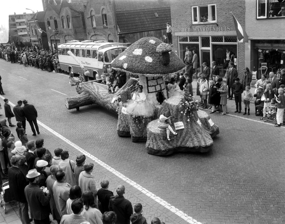 Bloemencorso in bollenstreek, Bestanddeelnr 919-1199