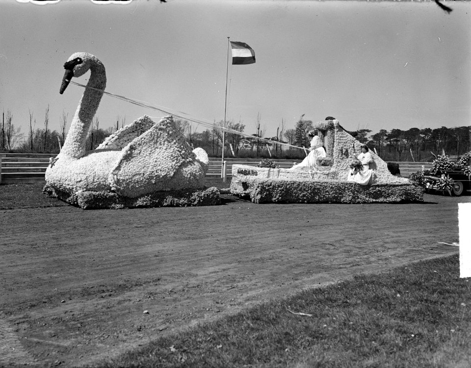 Bloemencorso Bollenstreek, Bestanddeelnr 903-3335 photo