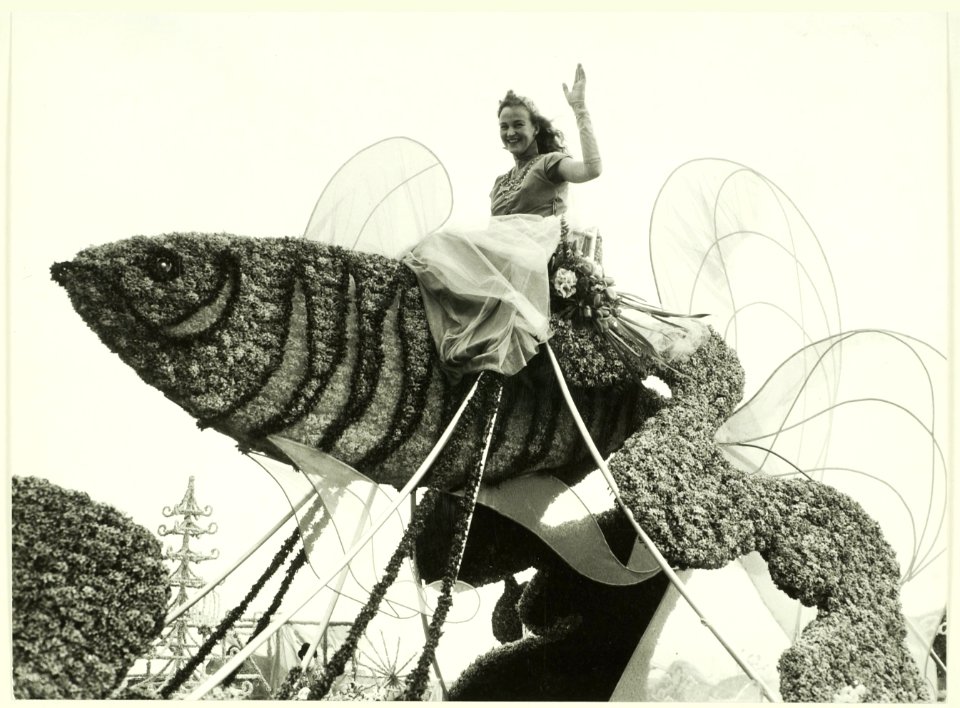 Bloemencorso, NL-HlmNHA 5400465242