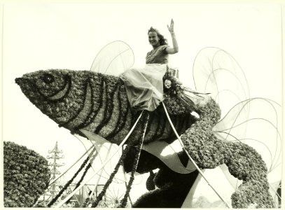 Bloemencorso, NL-HlmNHA 5400465242
