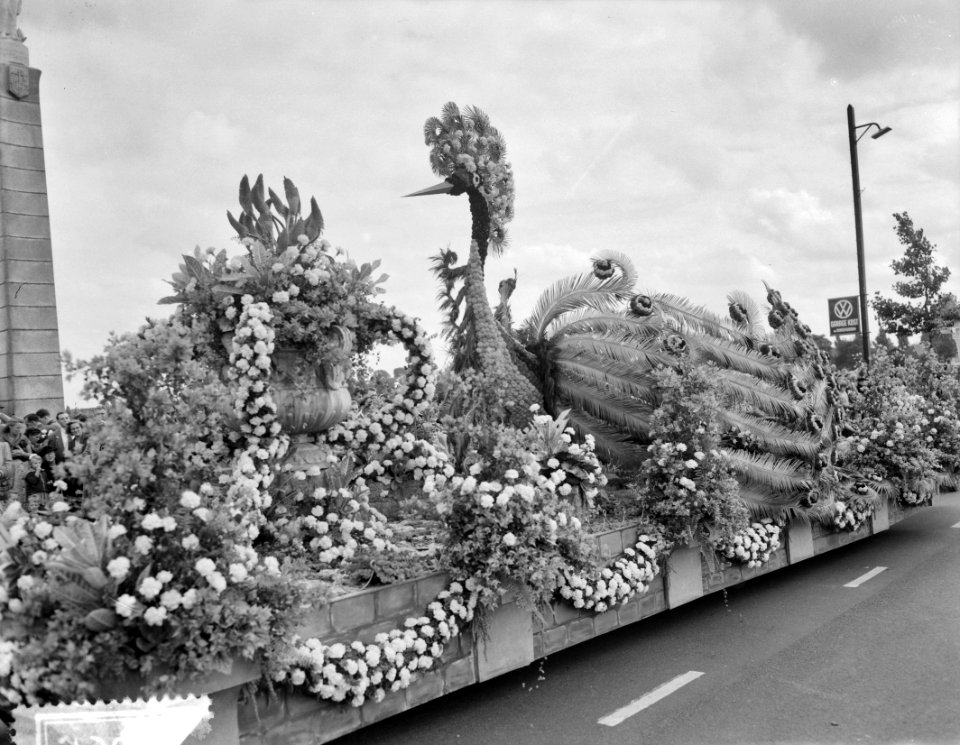 Bloemencorso door Amsterdam van Aalsmeerse kwekers, Bestanddeelnr 907-3062