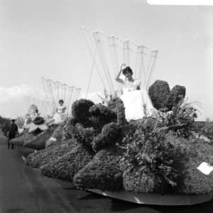 Bloemencorso Sassenheim, Bestanddeelnr 919-1184