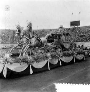Bloemencorso in Stadion, Bestanddeelnr 905-9517