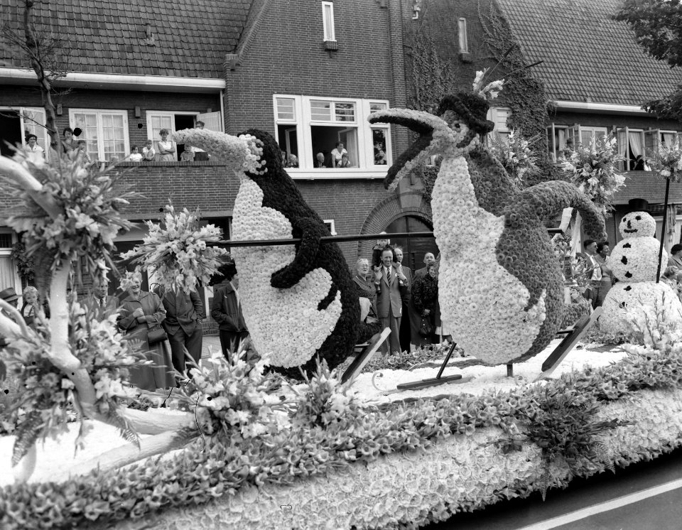 Bloemencorso door Amsterdam van Aalsmeerse kwekers, Bestanddeelnr 907-3065
