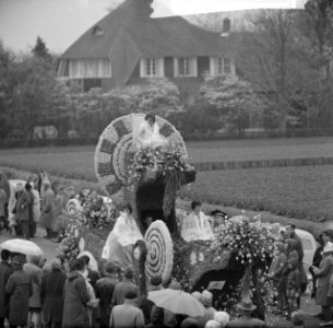 Bloemencorso in de bollenstreek verscheidene praalwagens, Bestanddeelnr 913-9145
