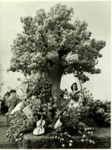 Bloemencorso, NL-HlmNHA 5400465241