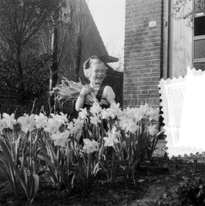 Bloemenplaatje meisjes in narcisveld, Bestanddeelnr 905-0172