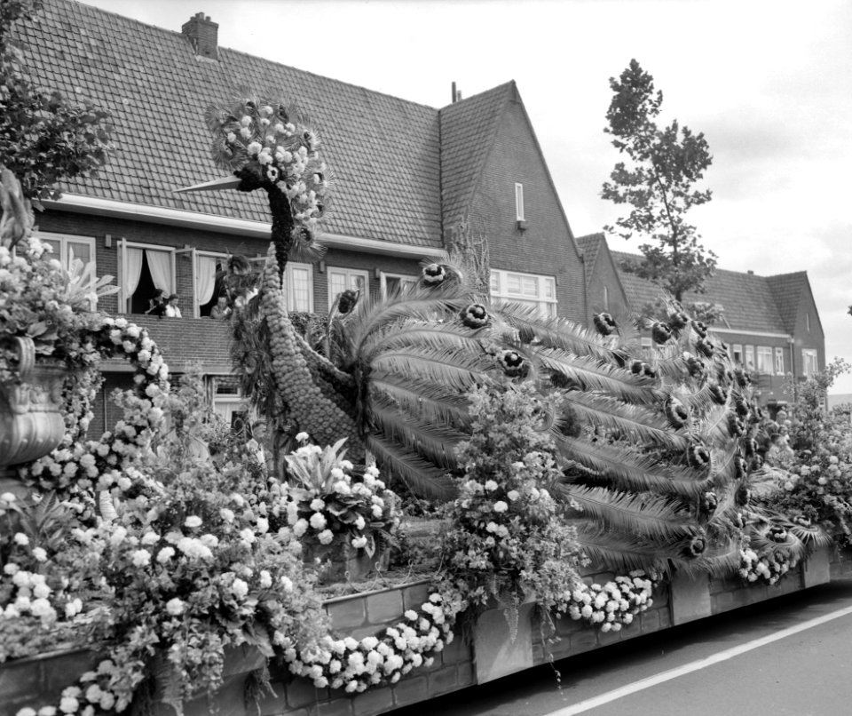 Bloemencorso door Amsterdam van Aalsmeerse kwekers, Bestanddeelnr 907-3064