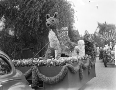Bloemencorso Aalsmeer, Bestanddeelnr 904-1723