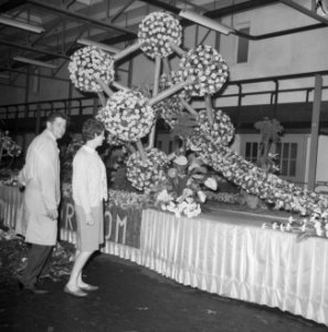 Bloemencorso, een van de pronkstukken het Euratom , uitgevoerd in bloemen, Bestanddeelnr 918-1387