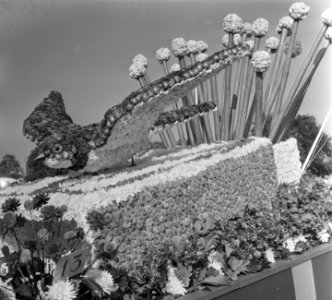 Bloemencorso door Amsterdam, Bestanddeelnr 904-7558