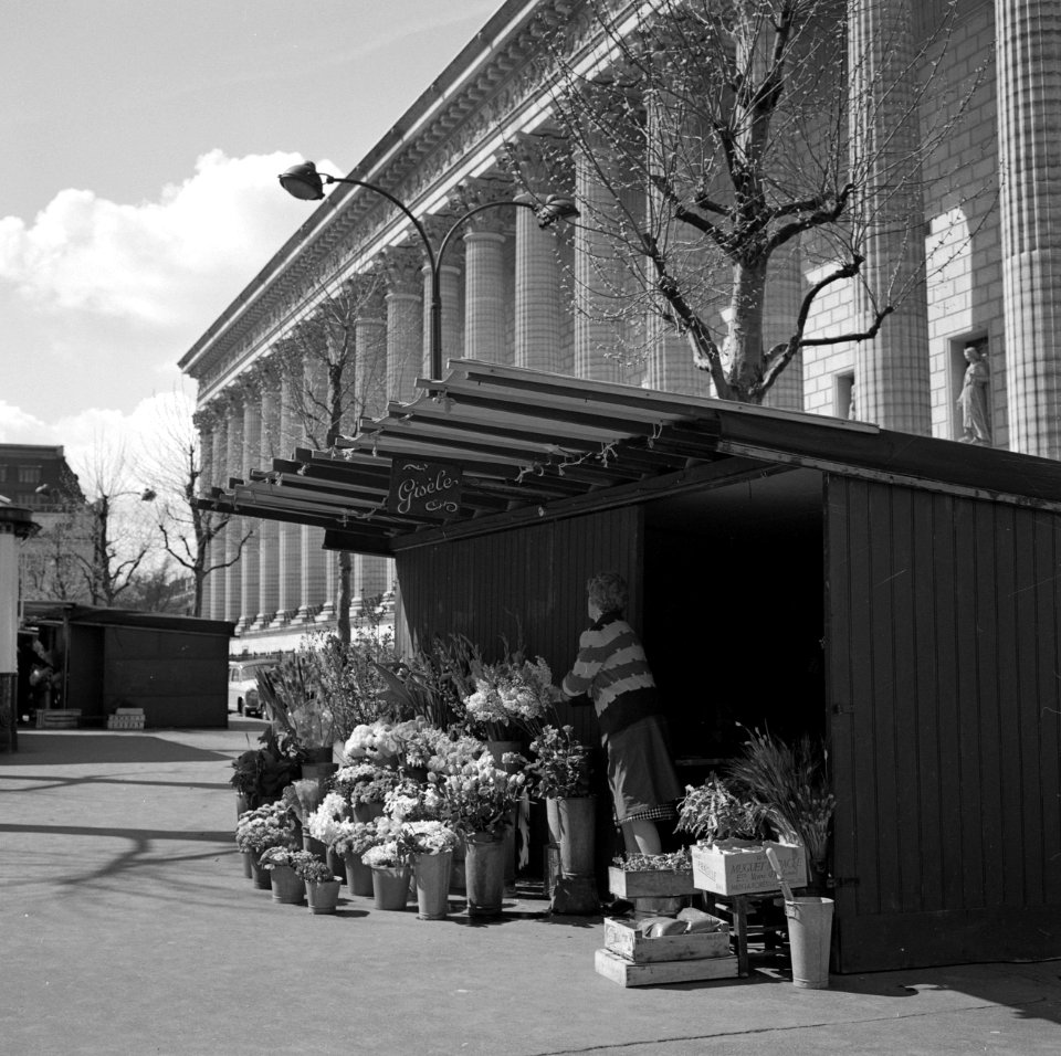 Bloemenstalletjes aan de voet van de Madeleine, Bestanddeelnr 254-0515