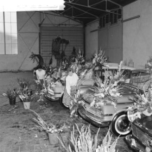 Bloemencorso in Rotterdam, Bestanddeelnr 912-8482