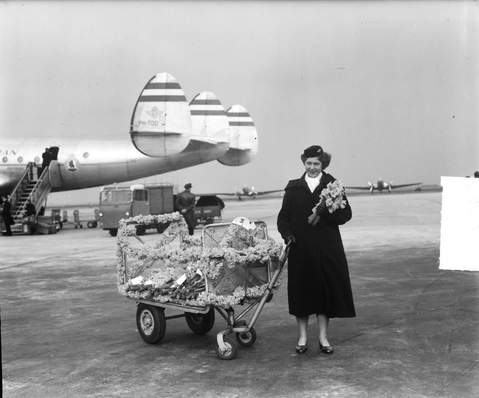 Bloemenvlootdag op Schiphol, Bestanddeelnr 904-5183