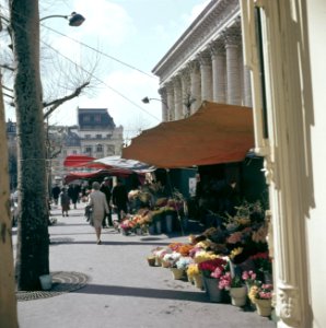 Bloemenstal op de Place de la Madeleine, Parijs, Bestanddeelnr 255-9969