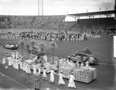 Bloemencorso Stadion Amsterdam, Bestanddeelnr 905-2955