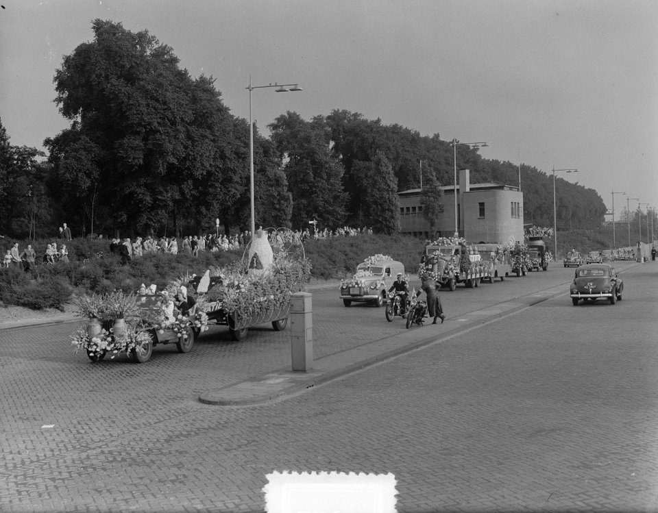 Bloemencorso te Rotterdam, Bestanddeelnr 904-7364