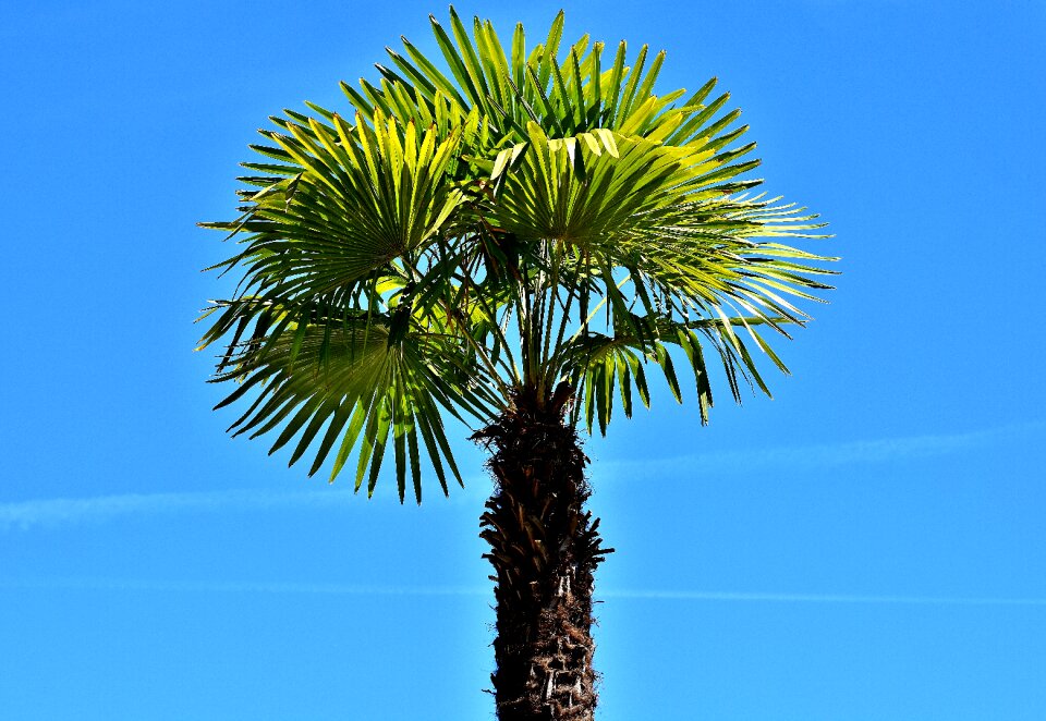Summer feeling vacations sky