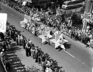 Bloemencorso bollenstreek, Bestanddeelnr 907-7432
