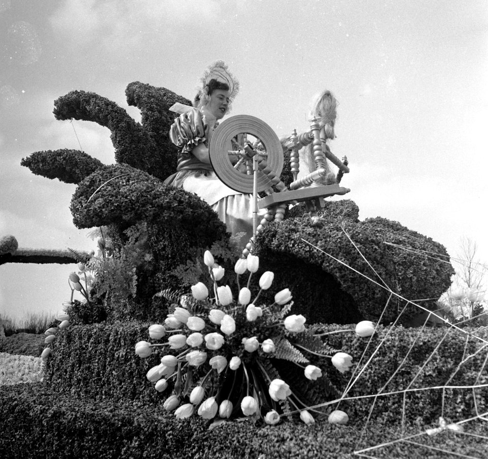 Bloemencorso Melodie in bloemen Bollenstreek, Bestanddeelnr 906-4185