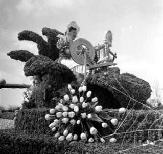 Bloemencorso Melodie in bloemen Bollenstreek, Bestanddeelnr 906-4185 photo