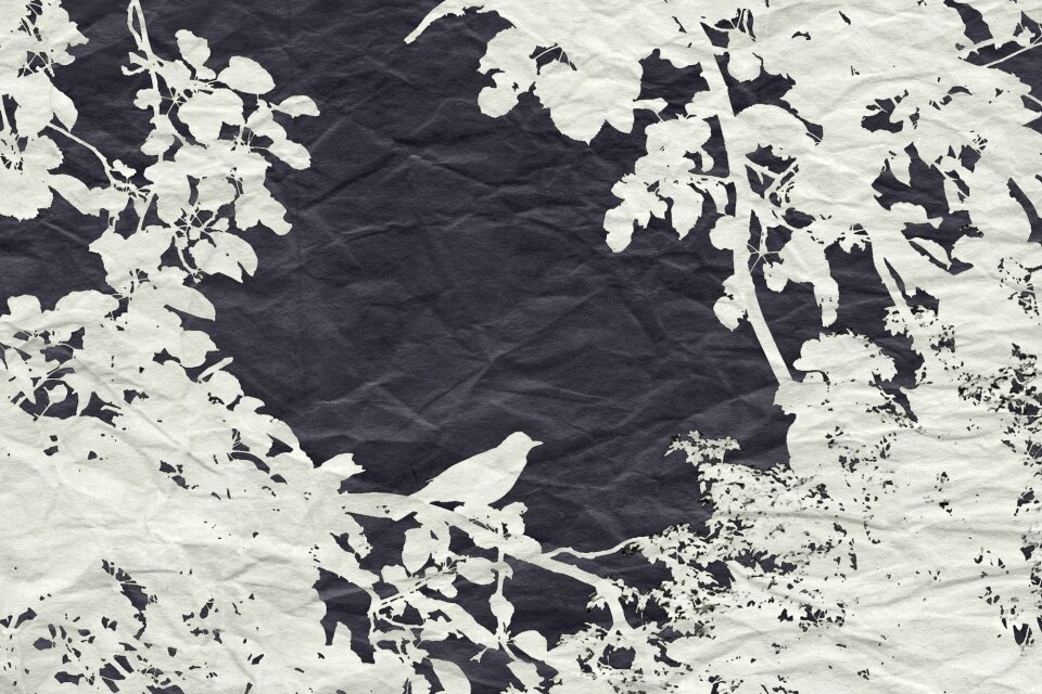 Branch vector nature