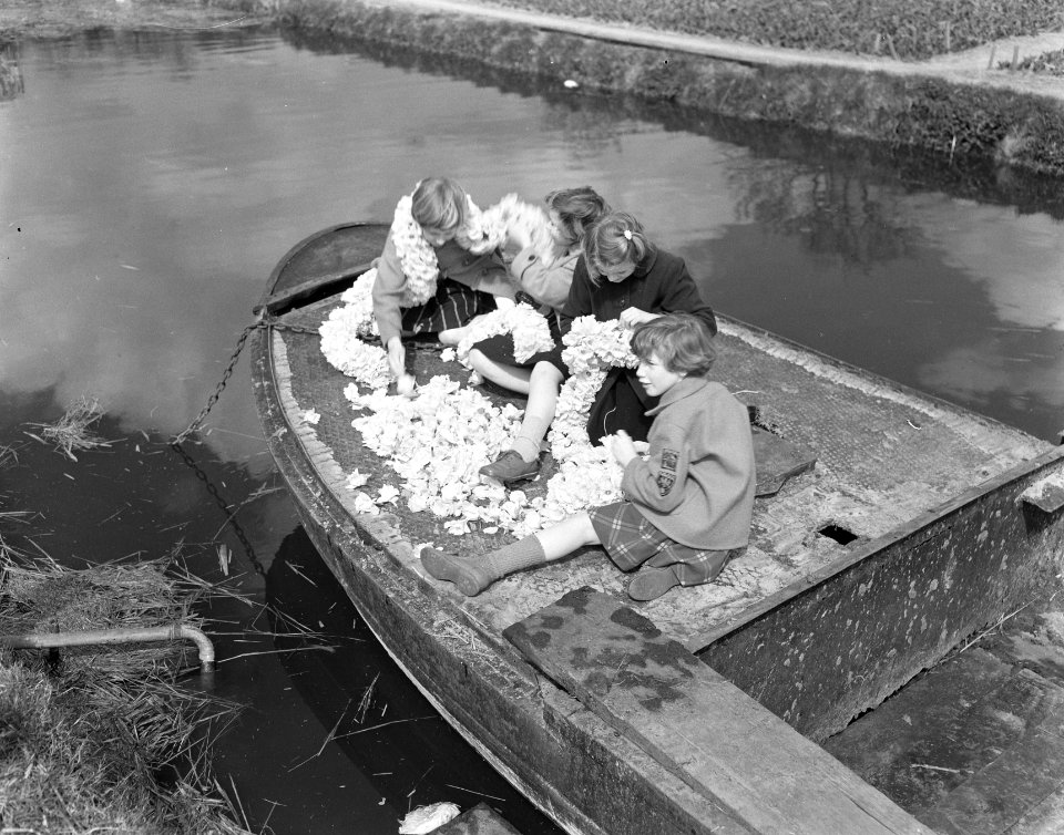 Bloemenslinger (narcissen) hoe ze gemaakt worden, Bestanddeelnr 907-6914