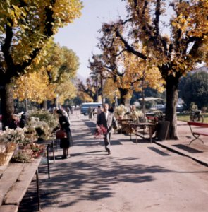 Bloemenkarkt in Ascona, Bestanddeelnr 254-6073
