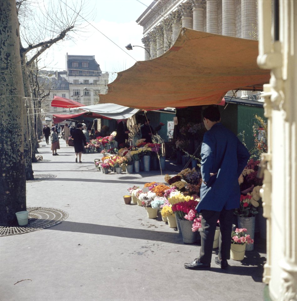 Bloemenstal op de Place de la Madeleine, Parijs, Bestanddeelnr 255-9970