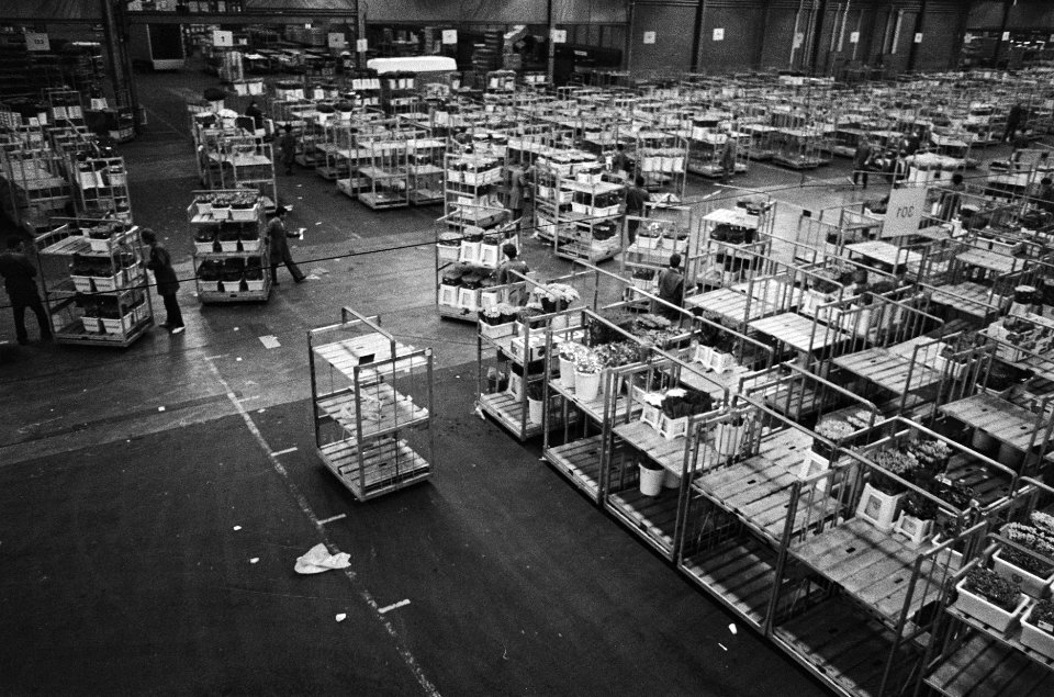 Bloemenveiling Aalsmeer, Bestanddeelnr 933-3587