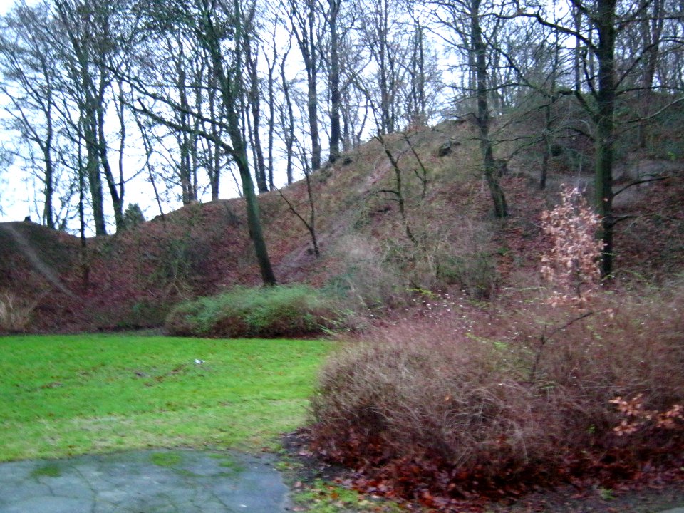 Blick zum Burgberg