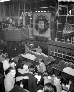 Bloemenveiling te Aalsmeer, Bestanddeelnr 911-1905