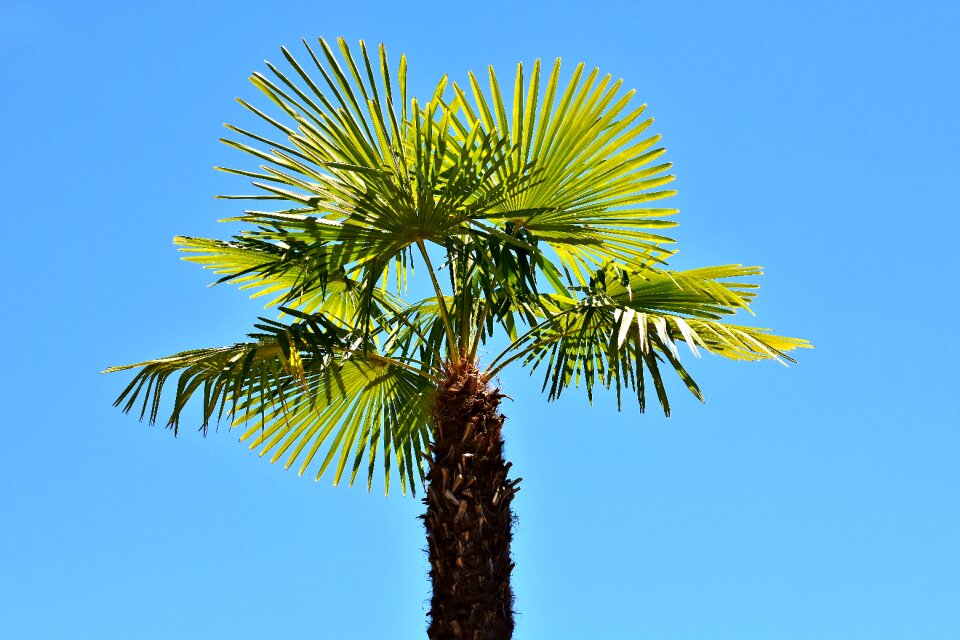 Summer feeling vacations sky