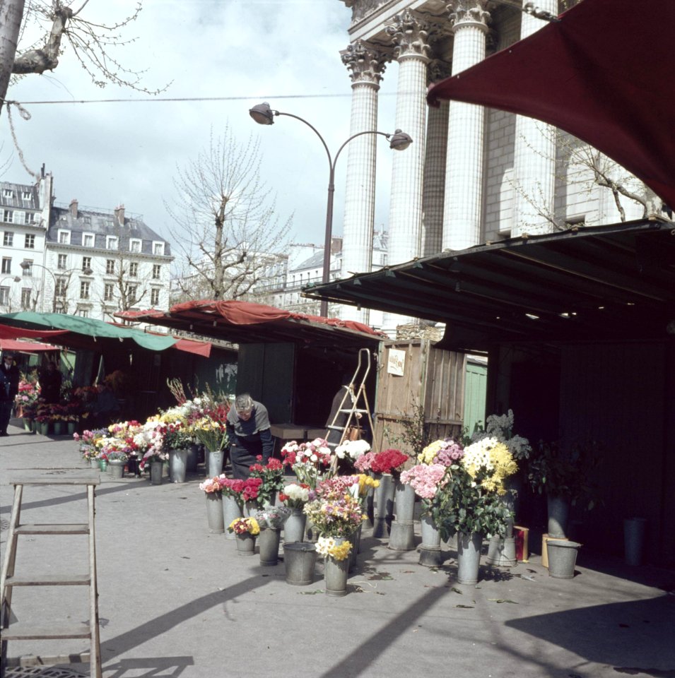 Bloemenstal op de Place de la Madeleine, Parijs, Bestanddeelnr 255-9972