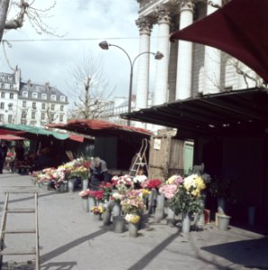 Bloemenstal op de Place de la Madeleine, Parijs, Bestanddeelnr 255-9972