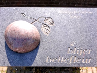 Blijer Bellefleur Frans Ram Blija