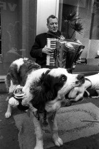 Blinde straatmuzikant met hond in Amsterdam, Bestanddeelnr 926-1186