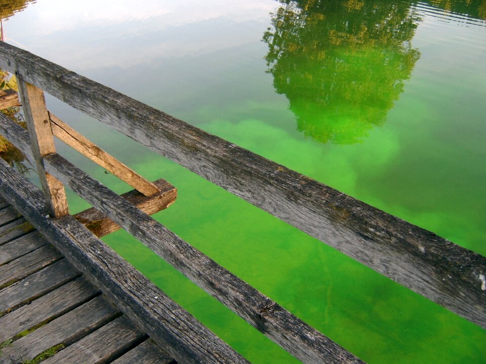 Water green water wooden bridge