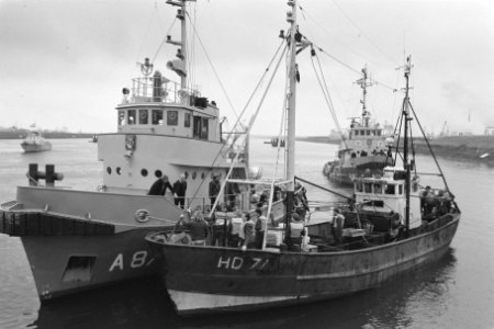Blokkade visserschepen in IJmuiden gebroken door politie en marine viskotter we, Bestanddeelnr 934-1170