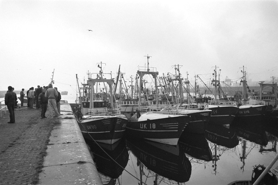 Blokkade vissers in IJmuiden na in beslagname bijvangst kabeljauw, Bestanddeelnr 934-1162