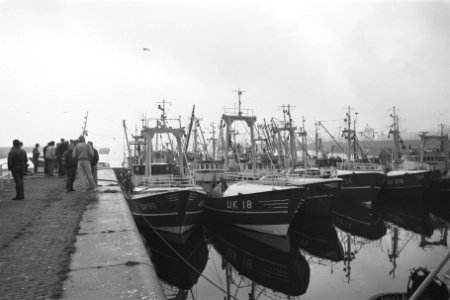 Blokkade vissers in IJmuiden na in beslagname bijvangst kabeljauw, Bestanddeelnr 934-1162