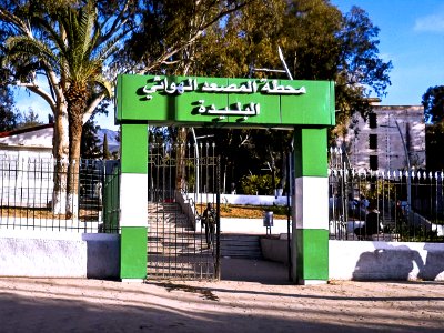 Blida - Téléphérique محطة البليدة للمصعد الهوائي