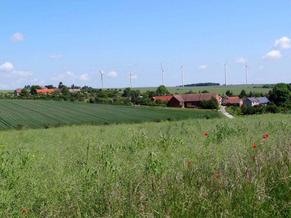 Blick von Südwesten auf Schmörschwitz